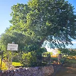 Il Trullo Nel Bosco Appartement *
