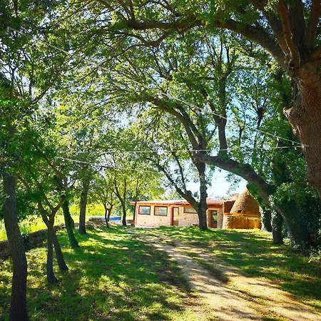 Il Trullo Nel Bosco Apartment