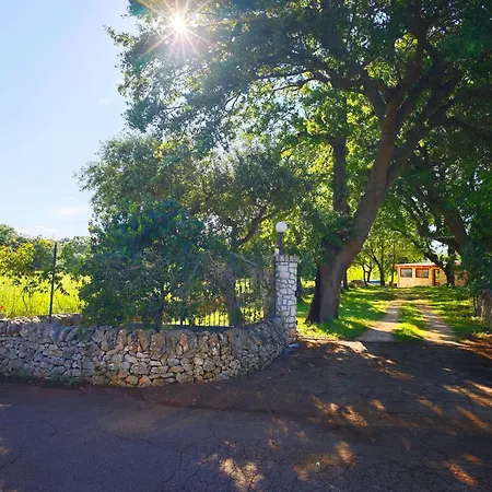Il Trullo Nel Bosco Appartement Alberobello