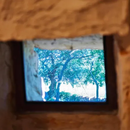 Il Trullo Nel Bosco Apartmán *