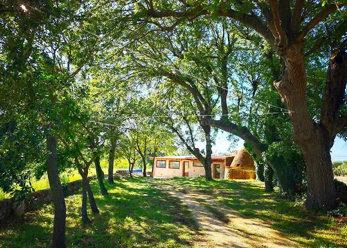 Il Trullo Nel Bosco Appartamento