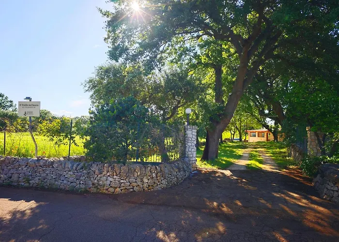 Il Trullo Nel Bosco Appartamento Alberobello