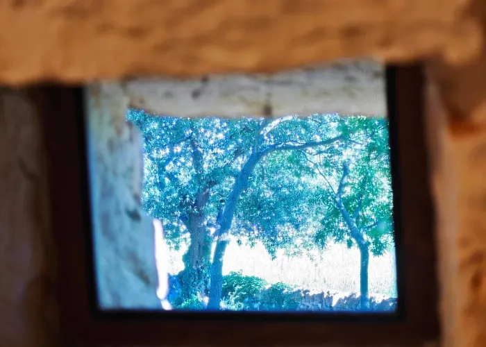 Il Trullo Nel Bosco Appartamento *